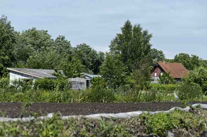 Francia - Amiens 24 - Les Hortillonnages.jpg